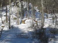  2013-02-10 13.43.16.JPG 